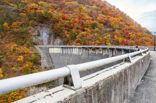 鳴子ダムの紅葉⑽ 秋,紅葉,山の写真素材