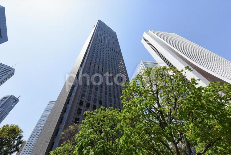 新緑のビル街 ビル,ビジネス街,オフィス街の写真素材