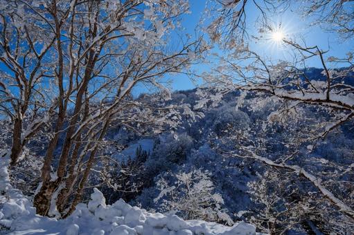 250320秋山郷清水川原、結東 250320秋山郷清水川原、結東の写真