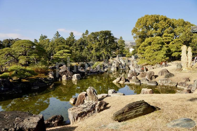 二条城本丸庭園の景色 二条城,本丸御殿,風景の写真素材