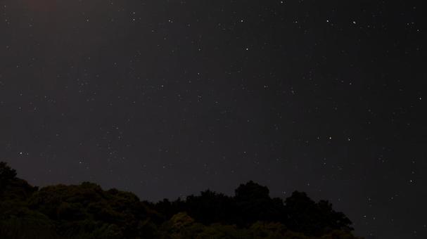 森に瞬く無数の星 森に瞬く無数の星 森,星,夜空の写真素材