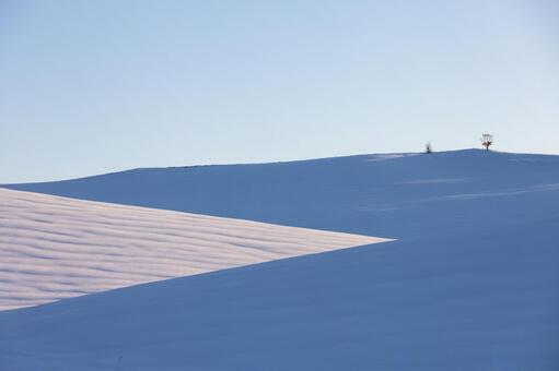 幾重にも重なる雪の丘と稜線の木立 雪原,丘陵,冬の写真素材