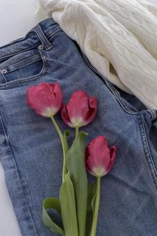 デニムとチューリップ デニムとチューリップの写真