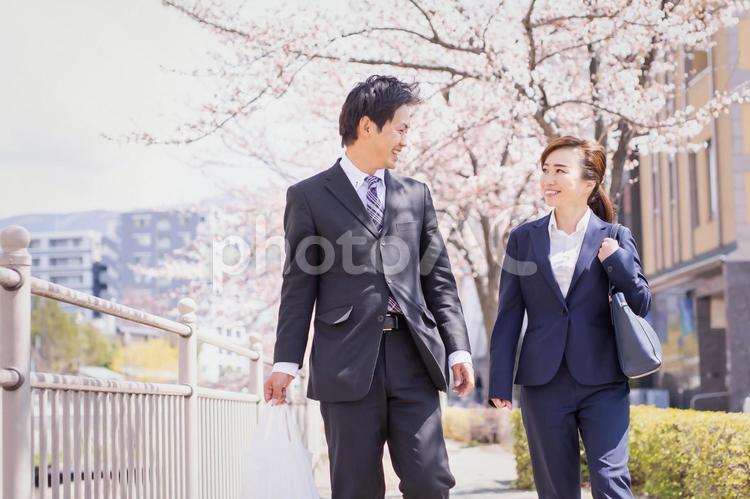 外出する会社員 ビジネス,夫婦,桜の写真素材