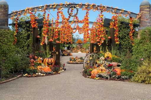 丘陵公園の感謝祭「ハロウィン」 丘陵公園の感謝祭「ハロウィン」 ハロウィン,収穫祭,かぼちゃの写真素材