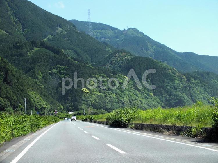 春の鮮やかな山と一本道をドライブする車 新緑,山,山頂の写真素材
