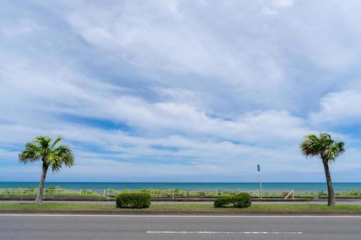 海沿いの道とヤシの木 海沿いの道とヤシの木 青空,空,雲の写真素材