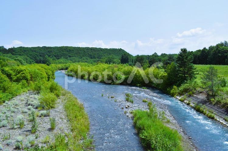 北海道　美瑛町の川 川,河川敷,草の写真素材