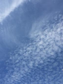 秋空 秋空の写真