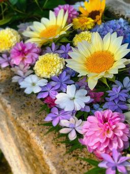 夏のイメージの花手水 夏のイメージの花手水 フラワー,自然,花手水の写真素材