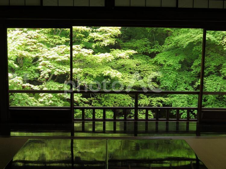 瑠璃光院　緑の風景 もみじ,テーブル,京都の写真素材