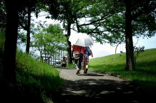＜素材＞真夏の公園を散策する家族 家族,女性,子供の写真素材