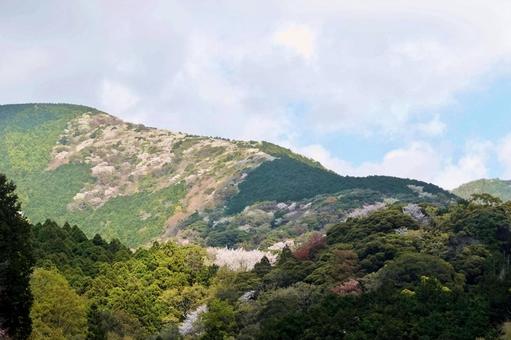 幻想的な山並みの山桜郡 幻想的な山並みの山桜郡の写真