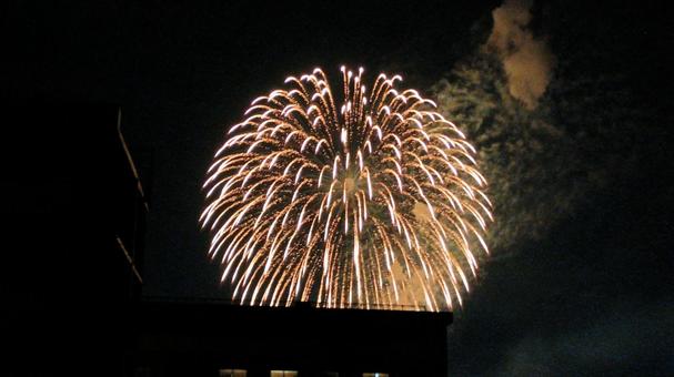 夏の夜空の花火 夏の夜空の花火の写真