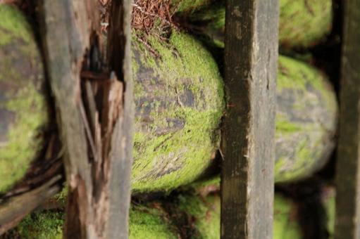 苔むした橋 苔むした橋の写真
