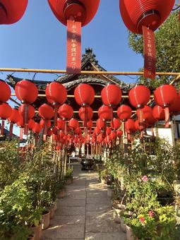 提灯 おふさ観音,ちょうちん,赤い提灯の写真素材