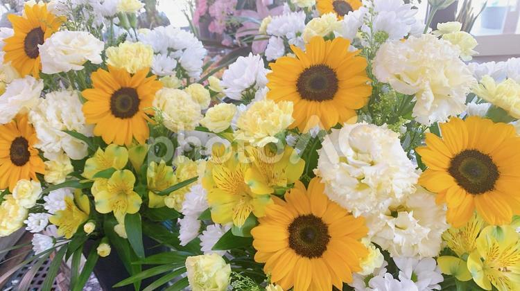 花　フラワー　ひまわり　 花,花屋,フラワーの写真素材