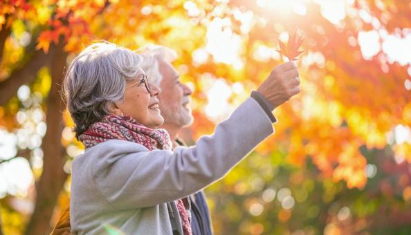 紅葉狩り 紅葉を眺めるシニア夫婦の横顔 紅葉狩り 紅葉を眺めるシニア夫婦の横顔の写真