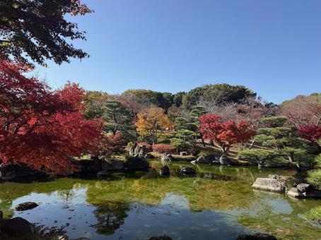 庭園 紅葉,もみじ,秋の写真素材
