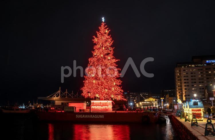 函館ベイエリアクリスマスツリー赤 クリスマスツリー,イルミネーション,ライトアップの写真素材