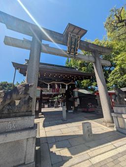 護王神社 護王神社 護王神社,京都,風景の写真素材