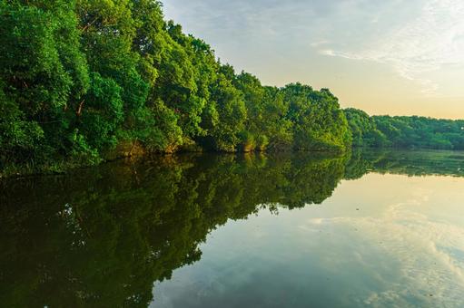 Photo, reflection, pool, early morning, 