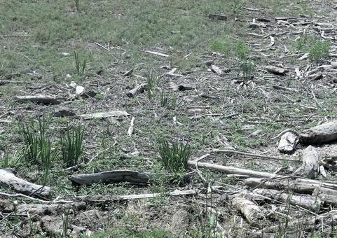死地 死地 死地,無,死の写真素材
