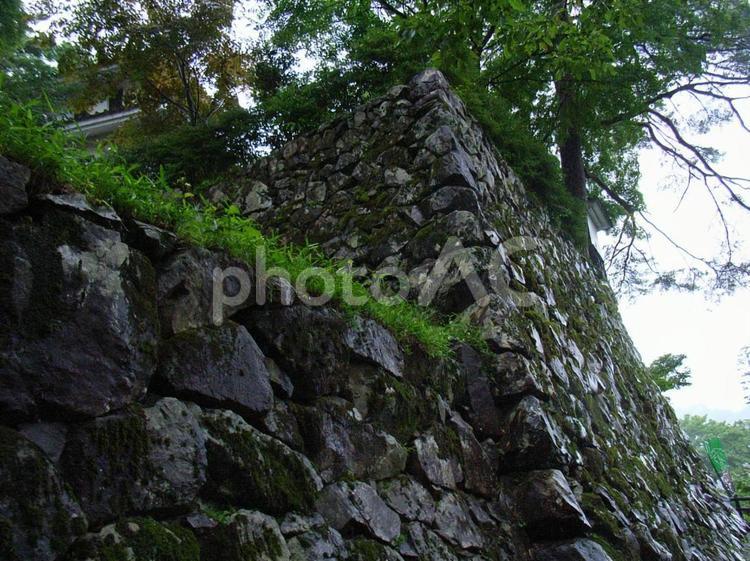郡上八幡城石垣 郡上八幡城,郡上市の写真素材