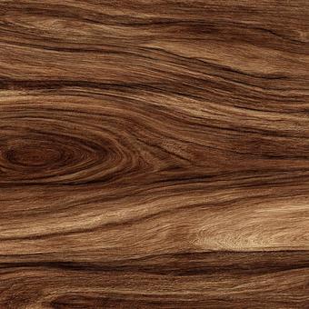 自然が作り出す美しい木の模様の写真