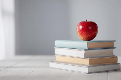 柔らかな光に包まれた学習風景 柔らかな光に包まれた学習風景の写真