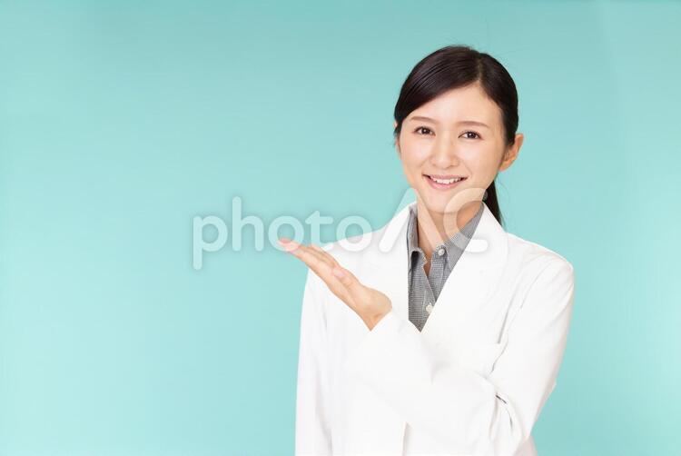 案内する笑顔の女医 日本人,女性,人物の写真素材