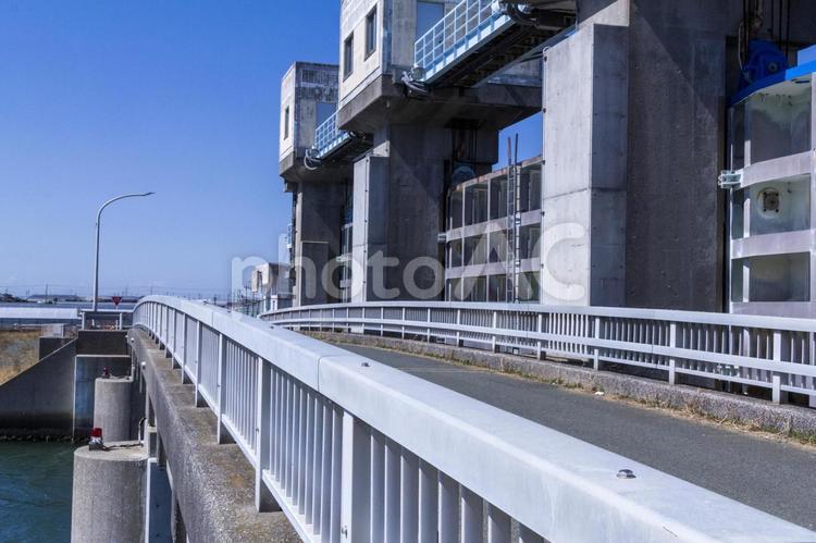福江港6（田原市） 福江港,釣り,港の写真素材