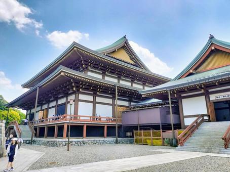 成田山新勝寺 大本堂の裏手 成田山新勝寺 大本堂の裏手 成田山,新勝寺,大本堂の写真素材