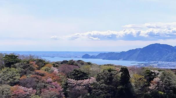 山から見下ろす海 山から見下ろす海の写真