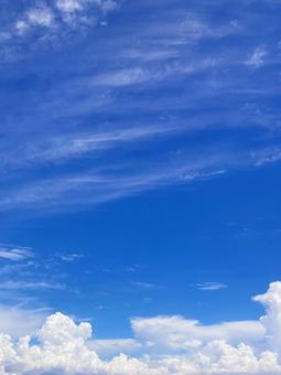 夏空 夏空の写真