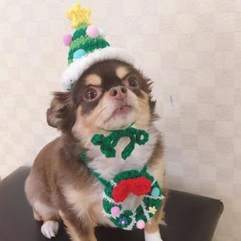 It's a Christmas tree, JPG It's a Christmas tree, JPG