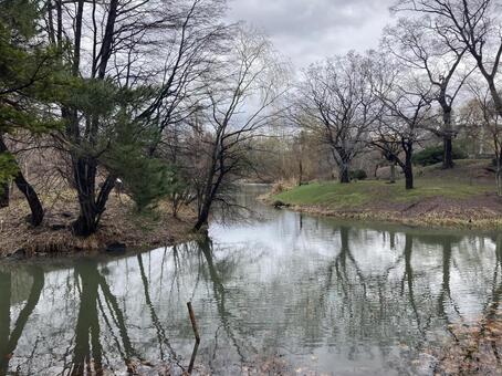 湖沼 湖面,ハイキング,水辺の写真素材