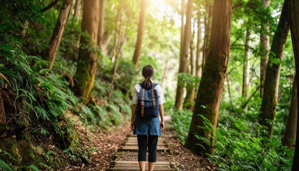 森林浴をする日本人女性01 森林浴をする日本人女性01の写真