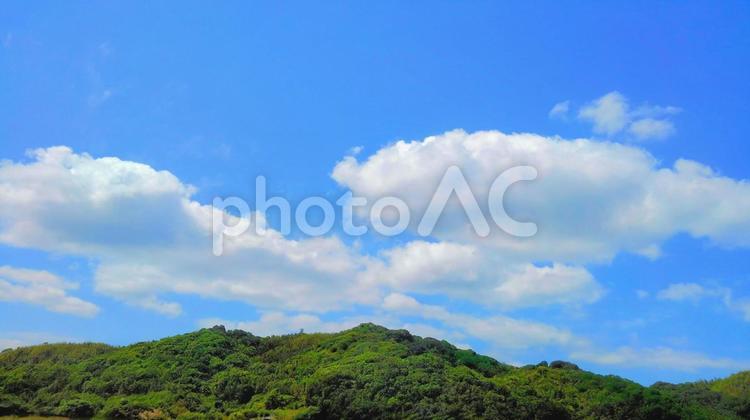 見上げる空、広がる緑 青空,白い雲,空の写真素材