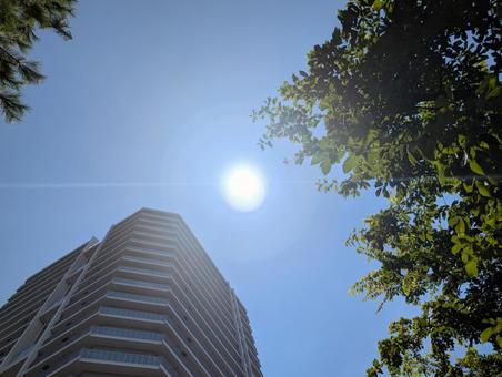 Photo, intense heat, sun, heatstroke, 