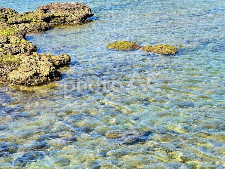 鈴島　三輪崎海岸　海岸　冬の海 冬の海岸,鈴島,三輪崎海岸の写真素材
