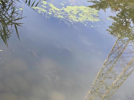Photo, water surface, reflection, landscape, 