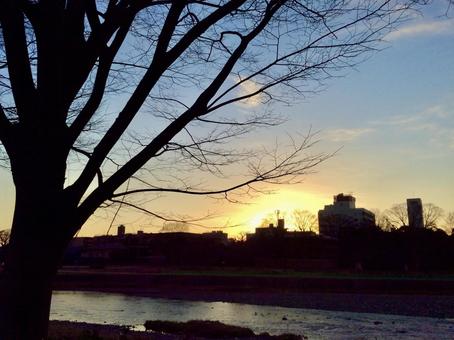 夕暮れの鴨川 夕暮れの鴨川の写真