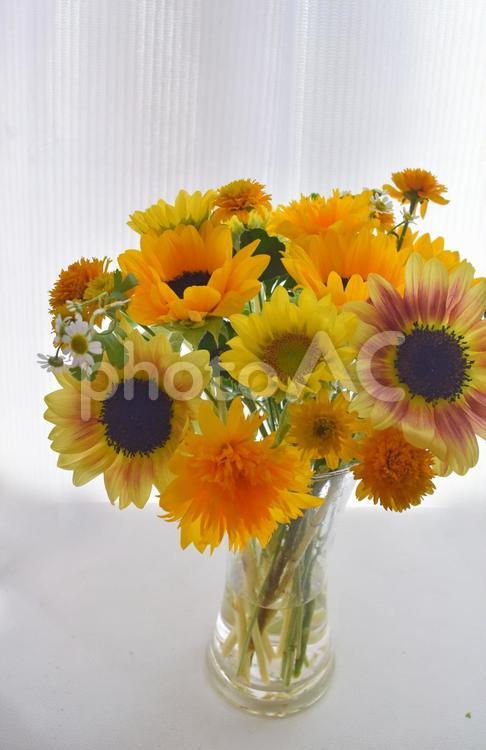 ひまわりの花束-2 向日葵,花束,ひまわりの写真素材