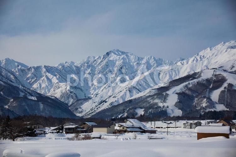 酷寒の白馬　北アルプスと八方尾根スキー場 自然,山,風景の写真素材