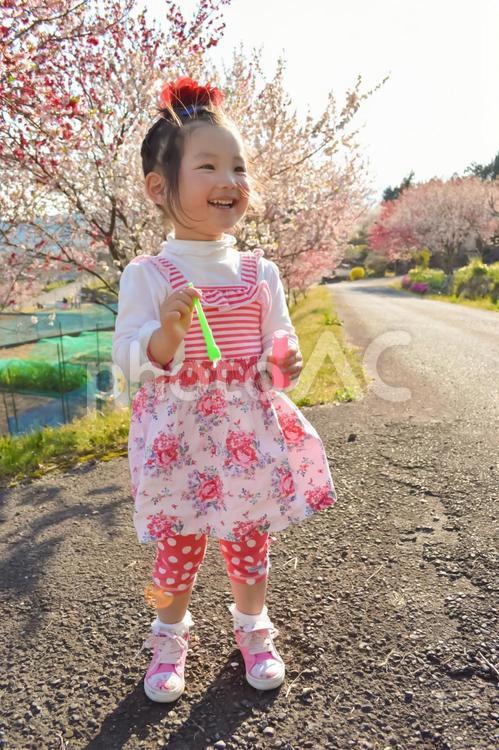 桃の花と子供 mdfk023,お外,こどもの写真素材