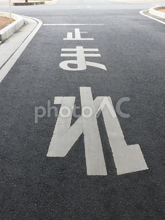 交差点　止まれ標示 路面標示,入園,入学の写真素材