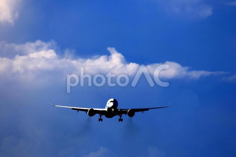 着陸態勢の旅客機 飛行機,航空機,ジェット機の写真素材