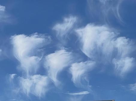 空の雲 空の雲の写真