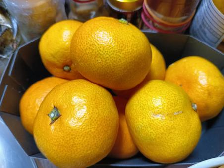 みかん みかん,柑橘,フルーツの写真素材